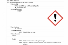DOLOMIT_UYANLAR_MADENCILIK_GBF_223001_page-0002
