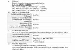 DOLOMIT_UYANLAR_MADENCILIK_GBF_223001_page-0013
